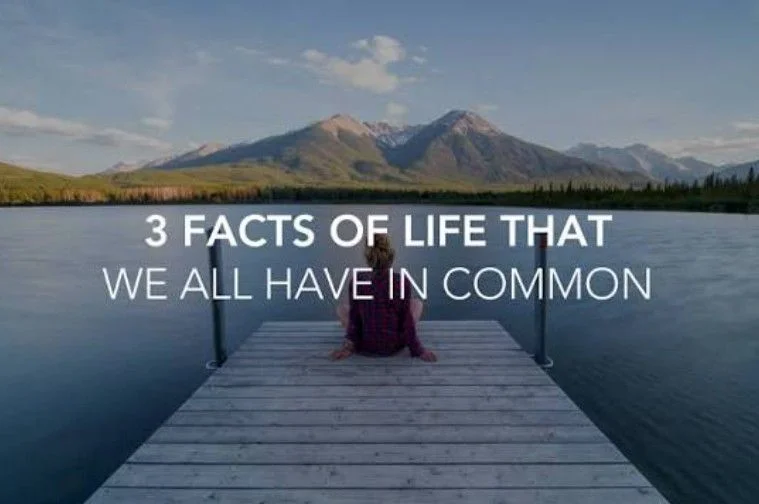 Lives Have In Common